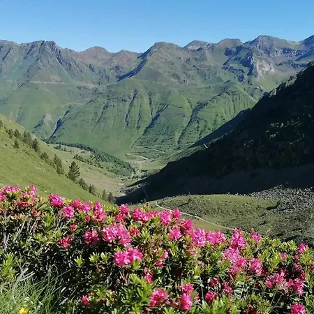 Spacieuse Maison De Pres D'aragnouet Avec Jardin Aragnouet