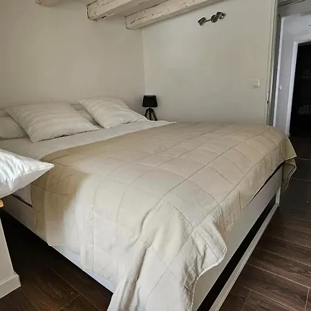 Spacieuse Maison De Pres D'aragnouet Avec Jardin Aragnouet